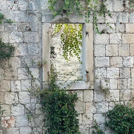 Pomalo Vis